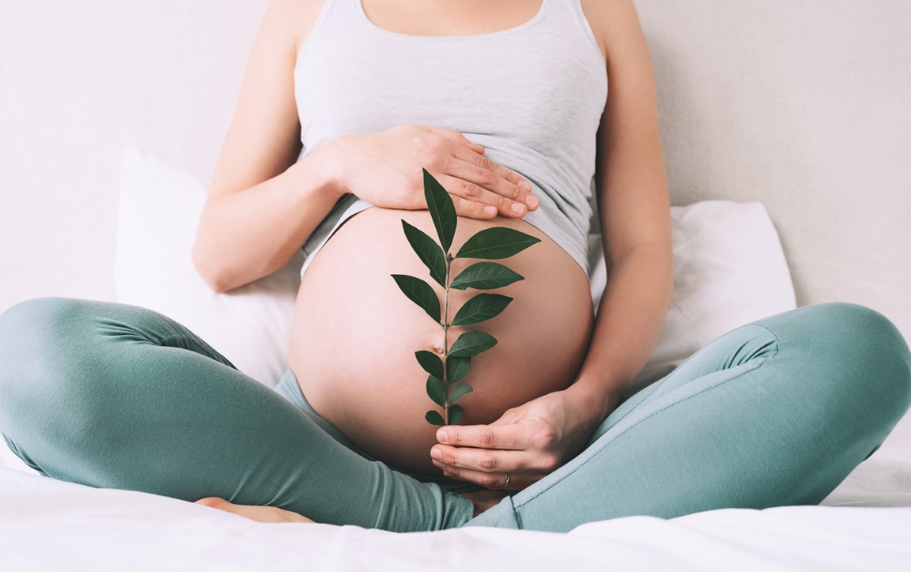 Advantages of Holistic Pregnancy Therapies for Stress and Anxiety