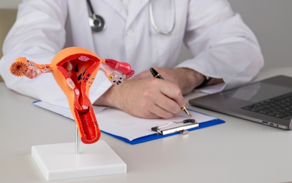 Reproductive Years: Family Planning and Fertility Support