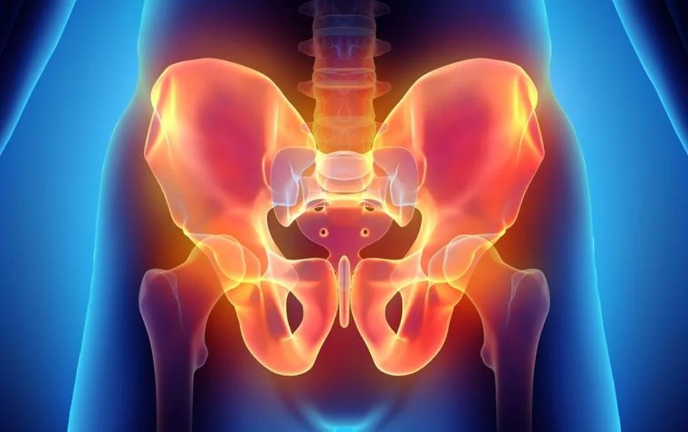 Common Causes of Lower Abdominal and Pelvic Pain