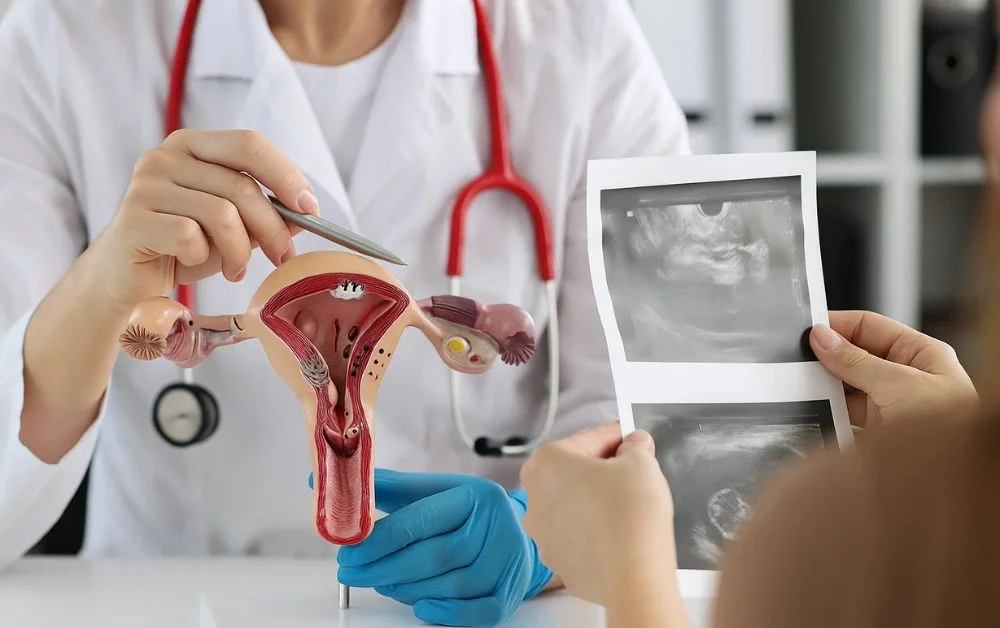 Personalized Women's Care in Jumeirah What to Expect from a Quality Clinic